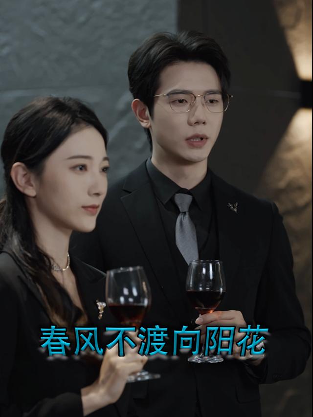 春风不渡向阳花封面