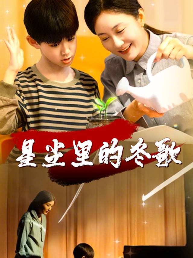 星尘里的冬歌封面