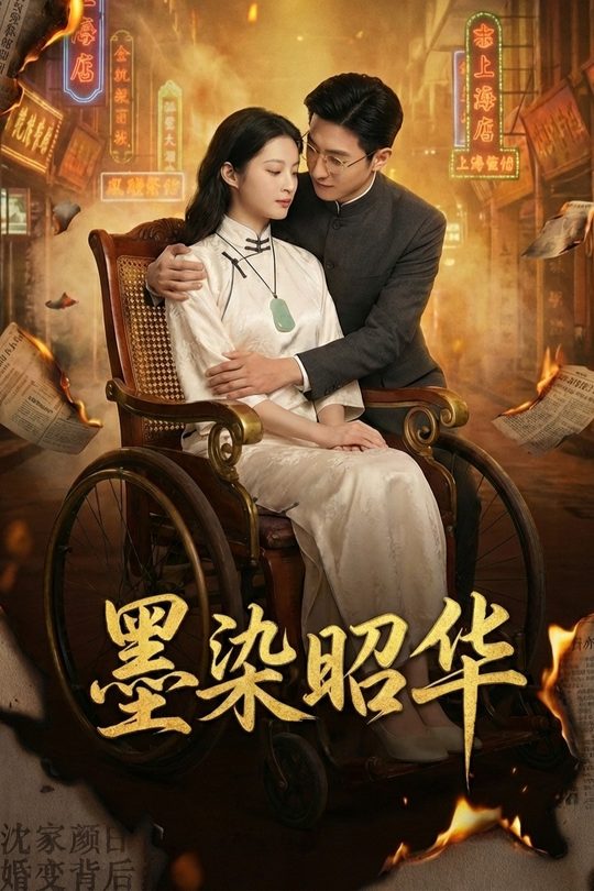 墨染昭华封面