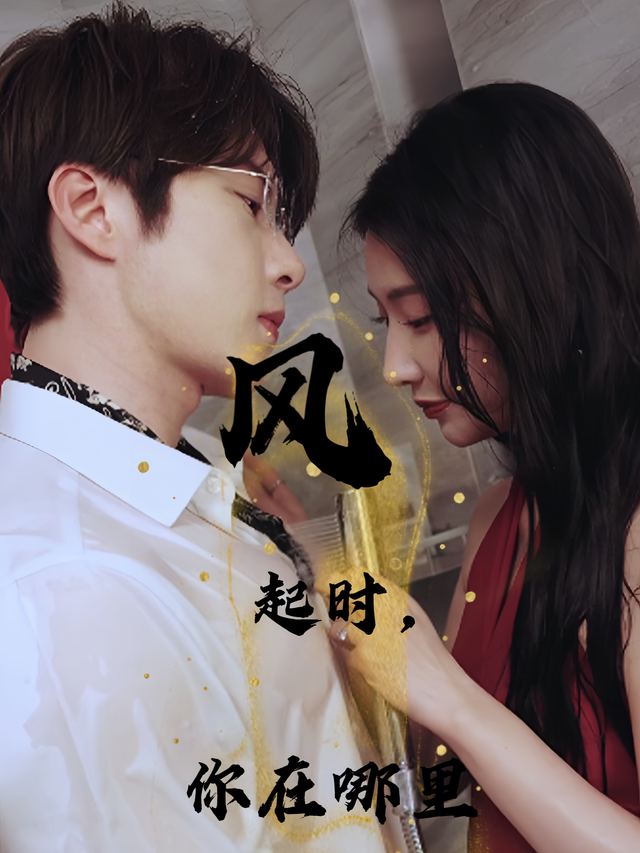 风起时你在哪里封面