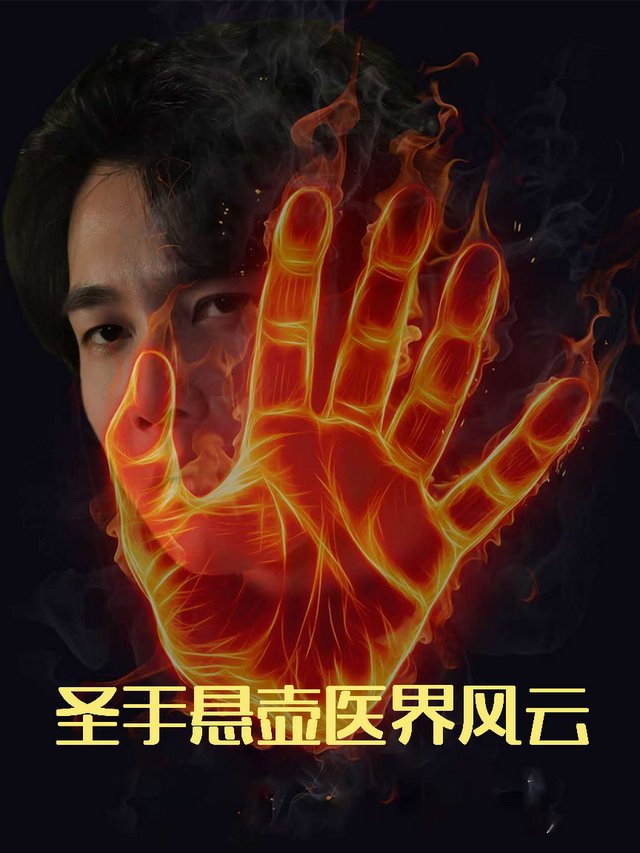 圣手悬壶,医界风云封面