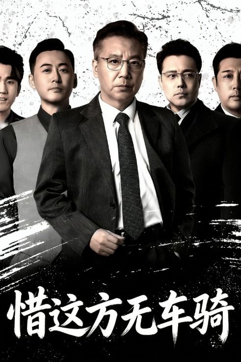 惜这方无车骑封面
