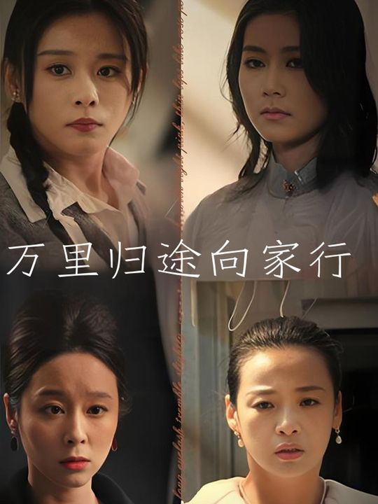 万里归途向家行封面