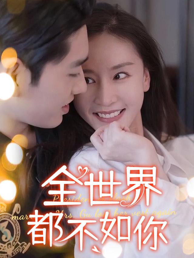 全世界都不如你封面