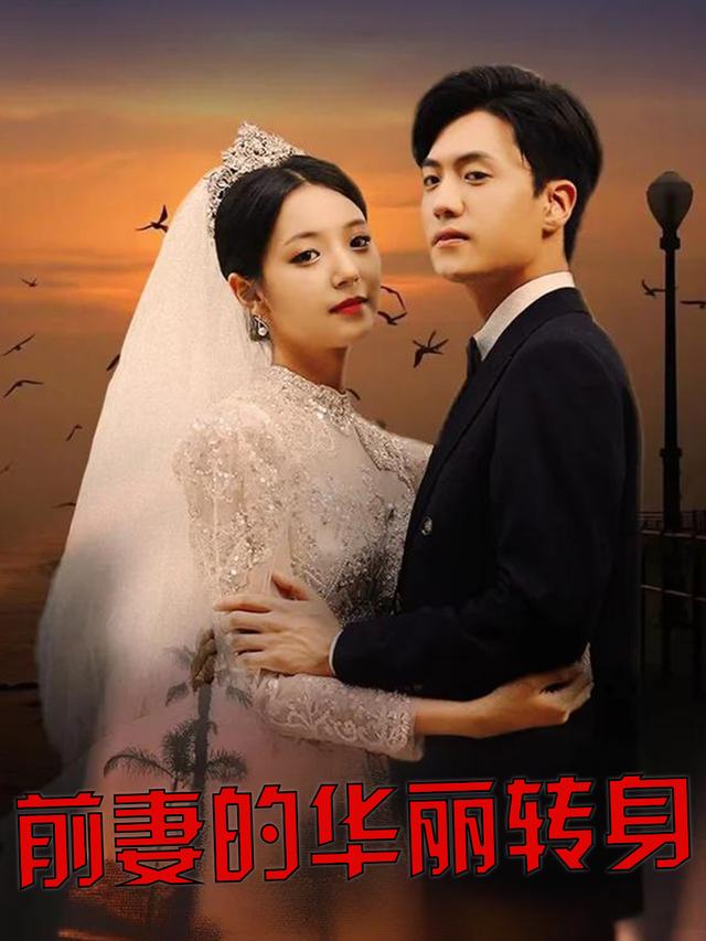 前妻的华丽转身封面