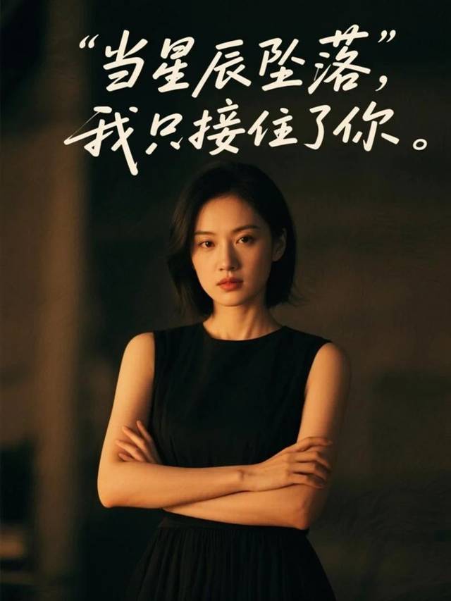 当星辰坠落,我只接住了你封面