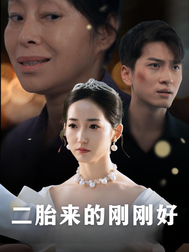 二胎来的刚刚好封面