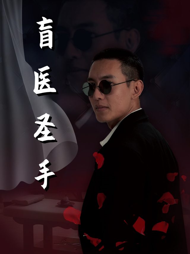 盲医圣手封面