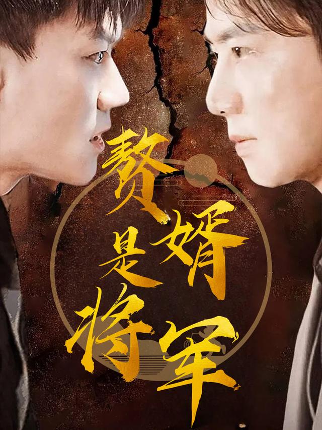 赘婿是将军封面