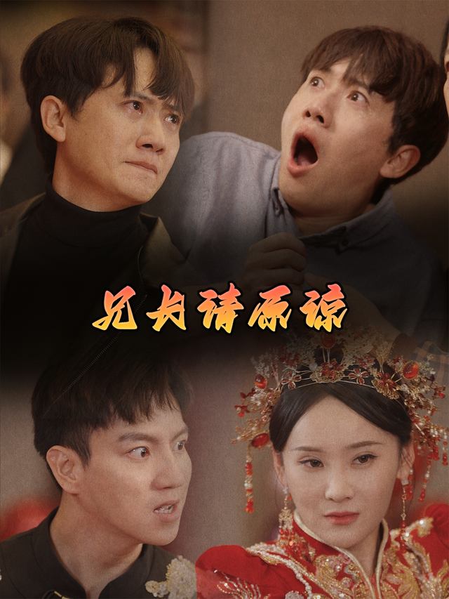 兄长请原谅封面