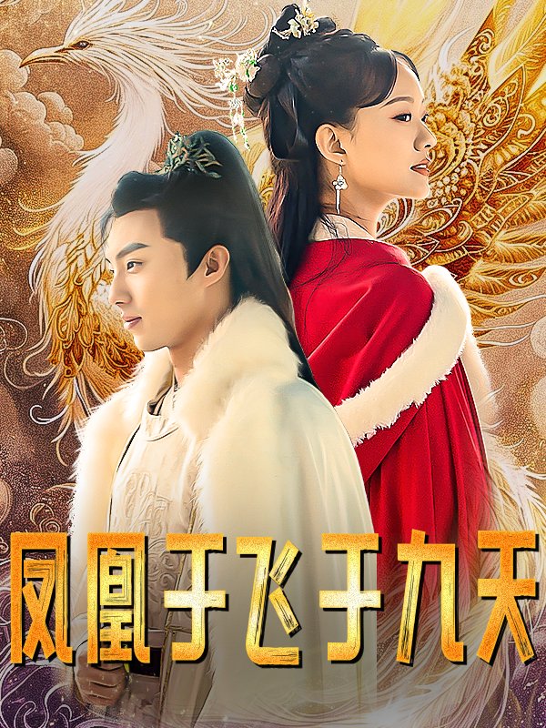 凤凰于飞于九天封面