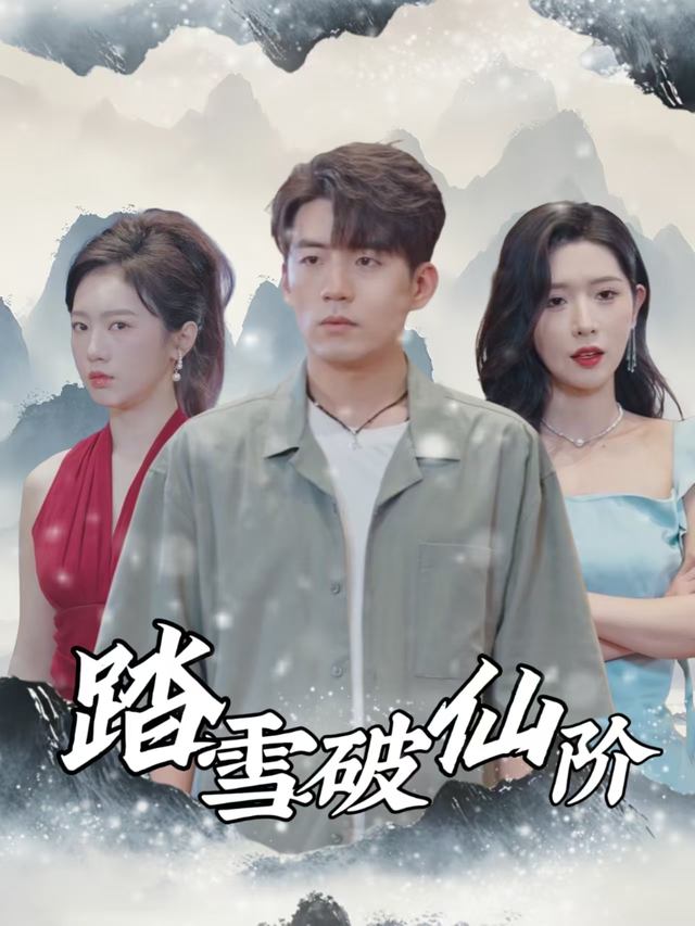 踏雪破仙阶封面