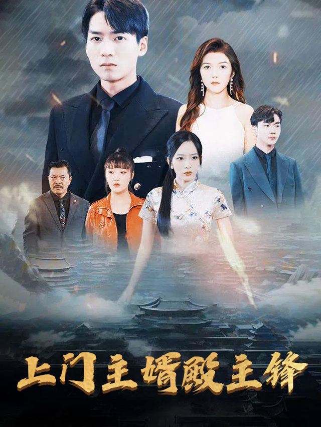 上门主婿殿主锋封面