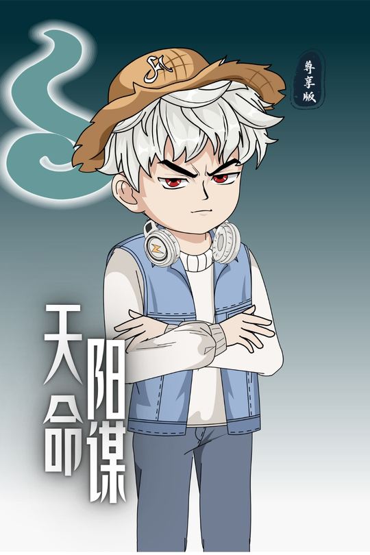 天命阳谋封面