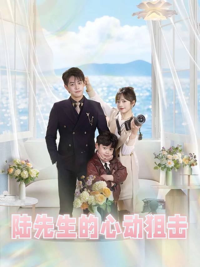 陆先生的心动狙击封面
