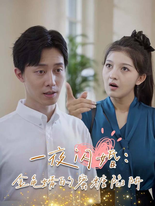 一夜闪婚:金龟婿的蜜糖陷阱封面