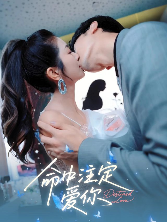 命中注定爱你封面