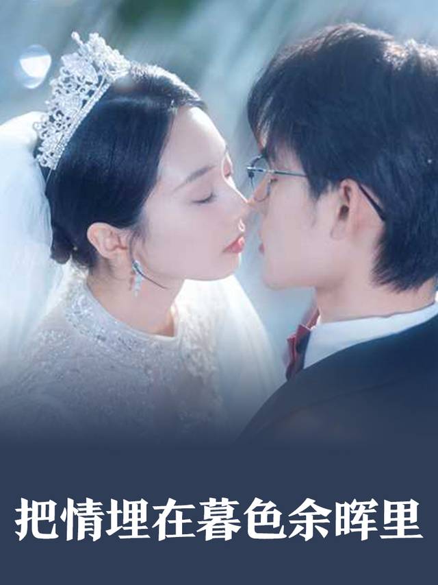 把情埋在暮色余晖里封面