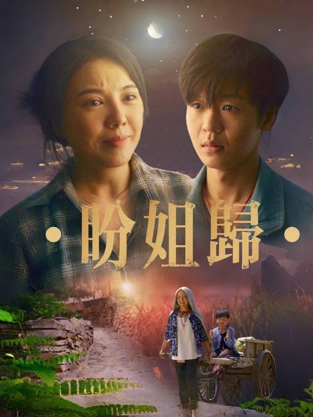 盼姐归封面