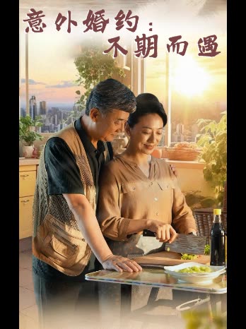 意外婚约:不期而遇封面