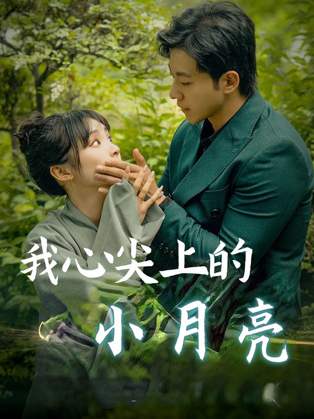 我心尖上的小月亮封面