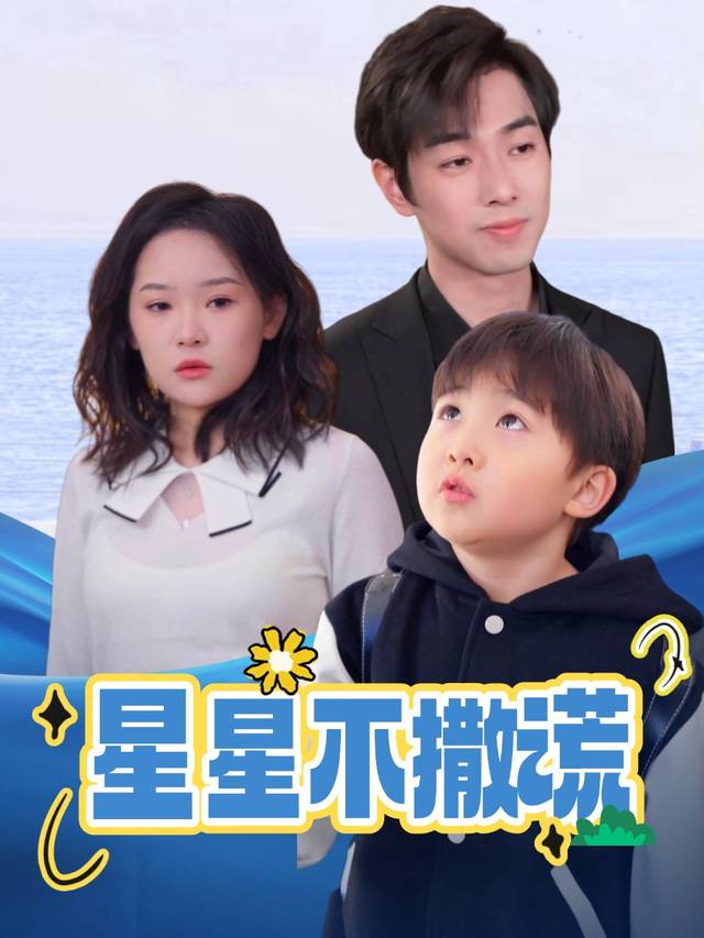 星星不撒谎封面