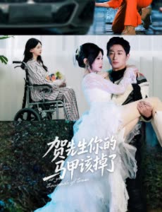 贺先生你的马甲该掉了封面