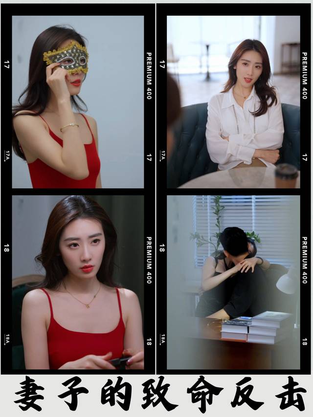 妻子的致命反击封面