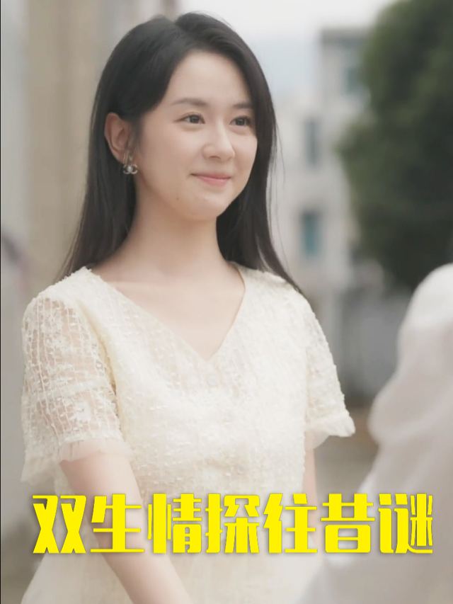 双生情探往昔谜封面