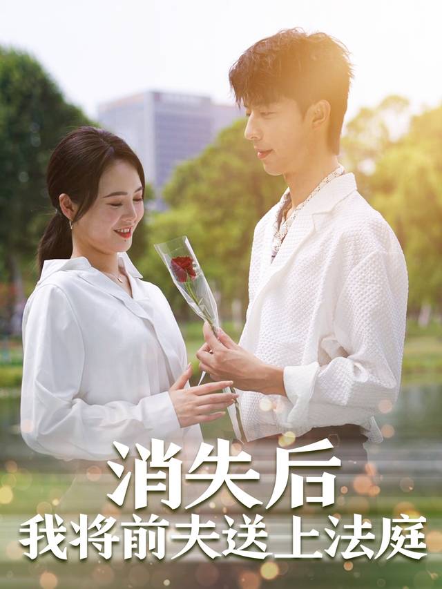 消失后我将前夫送上法庭封面