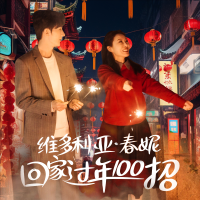 维多利亚·春妮回家过年100招封面