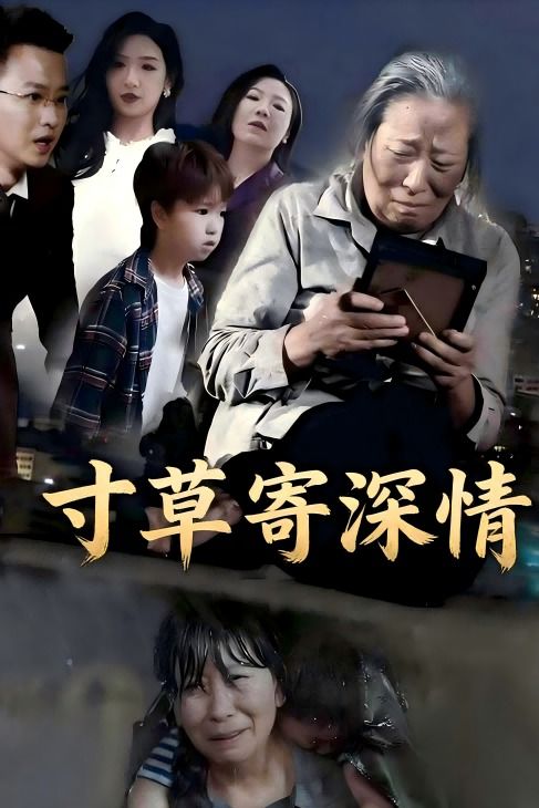 寸草寄深情封面