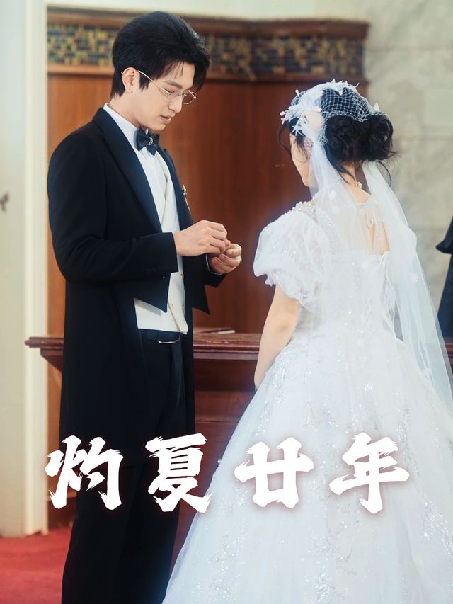 灼夏廿年封面