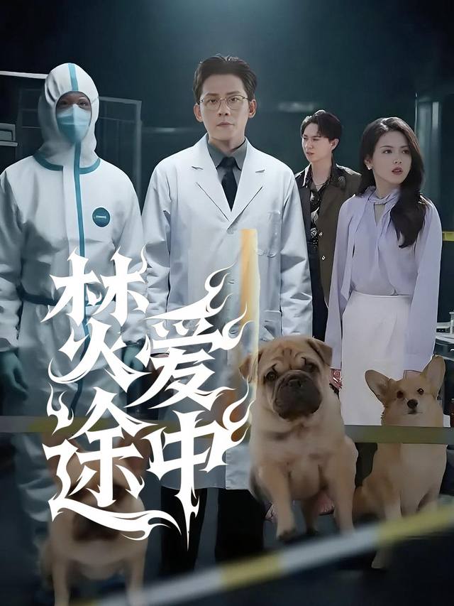 焚爱途中封面