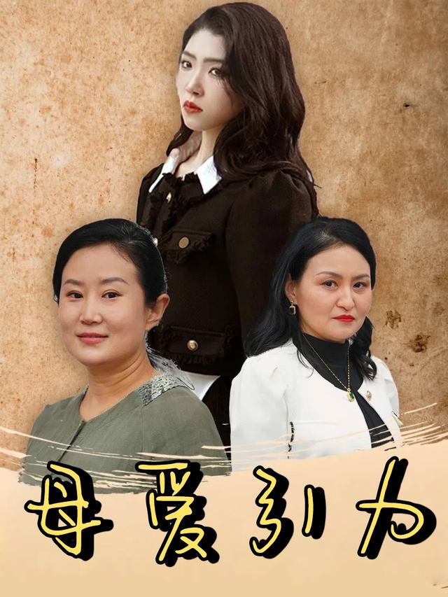 母爱引力封面