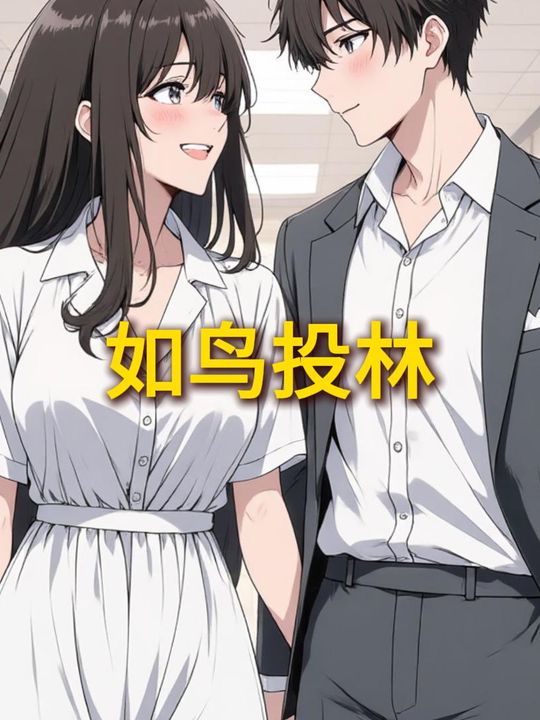 如鸟投林封面