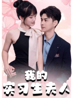 我的实习生夫人封面