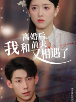 离婚后我和前夫又相遇了封面