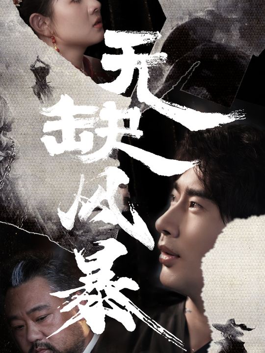 无缺风暴封面