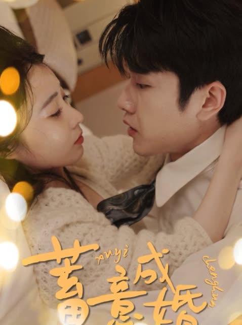蓄意成婚封面