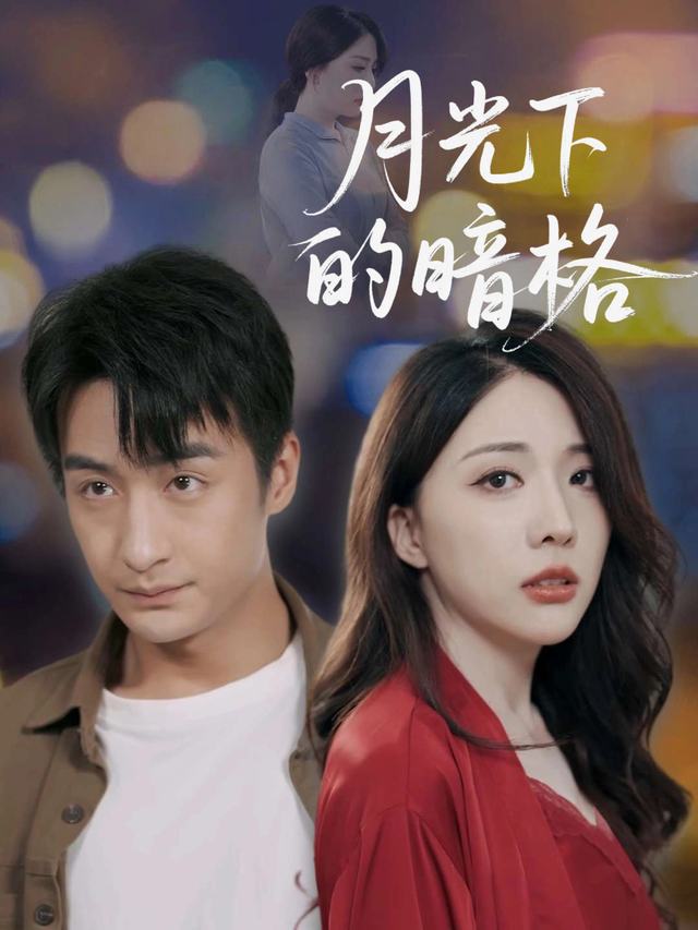 月光下的暗格封面