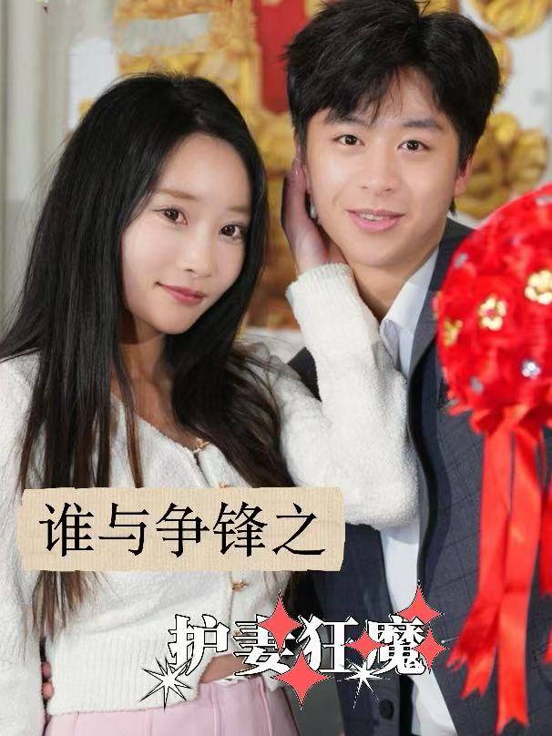谁与争锋之护妻狂魔封面