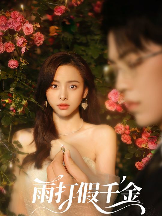 雨打假千金封面