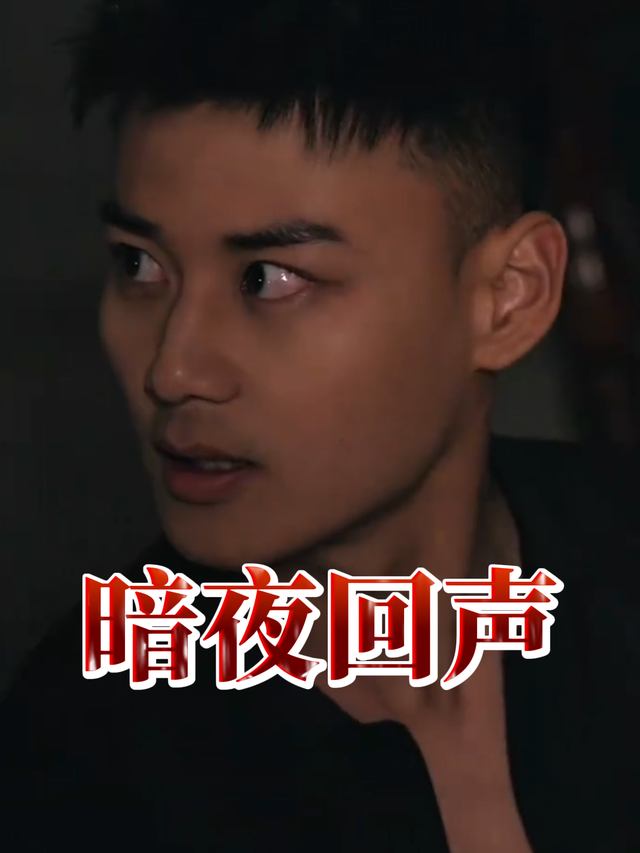 暗夜回声封面