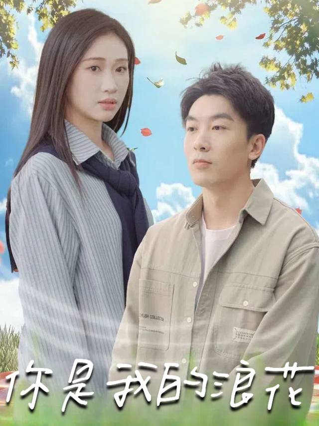 你是我的浪花封面