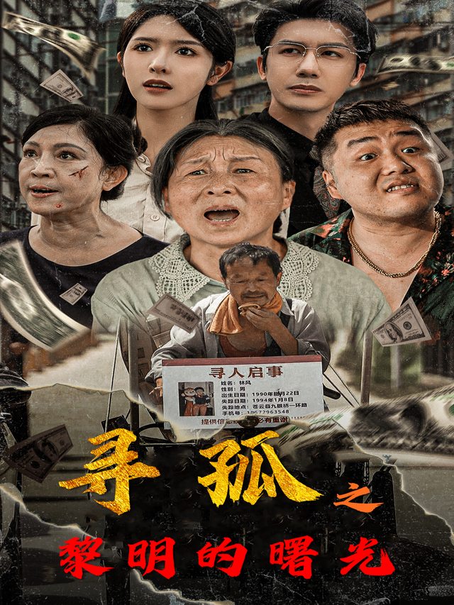 寻孤之黎明的曙光封面