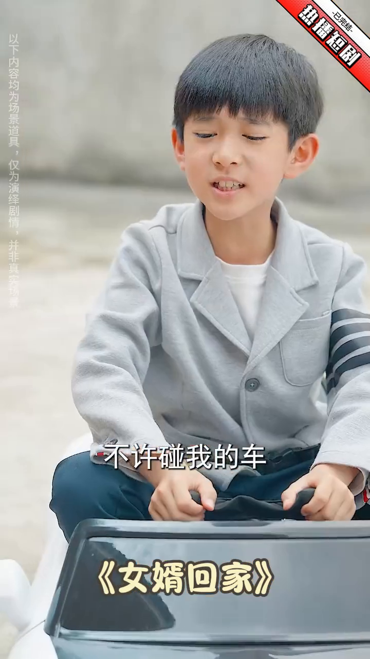女婿回家封面