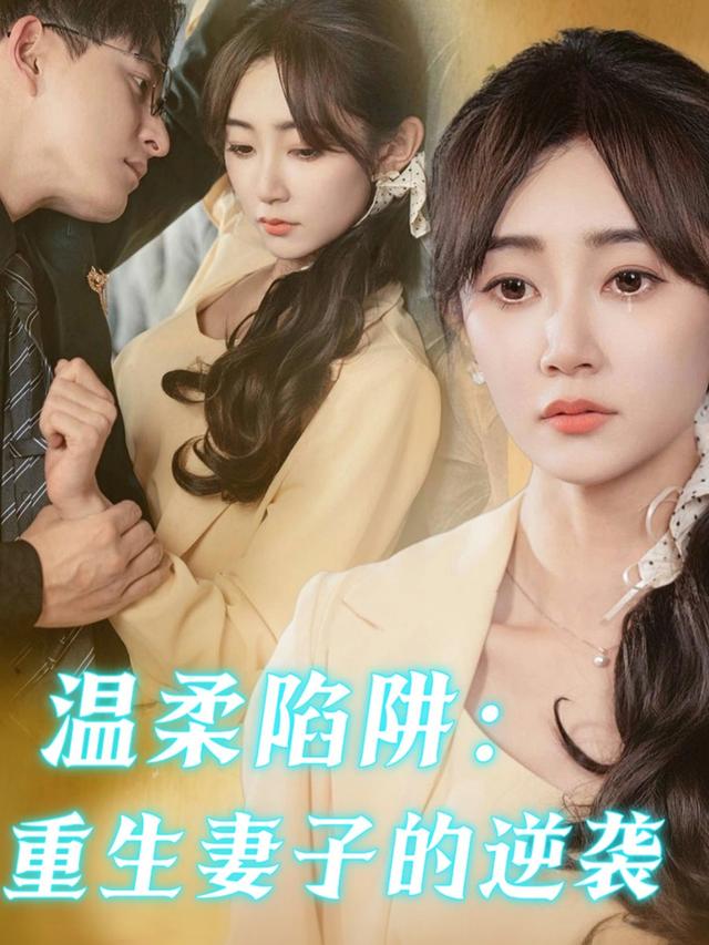 温柔陷阱:重生妻子的逆袭封面