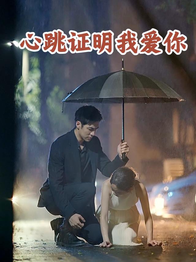 心跳证明我爱你封面