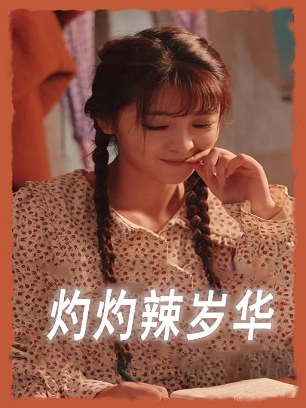 灼灼辣岁华封面